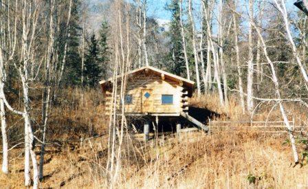 Guest Cabin